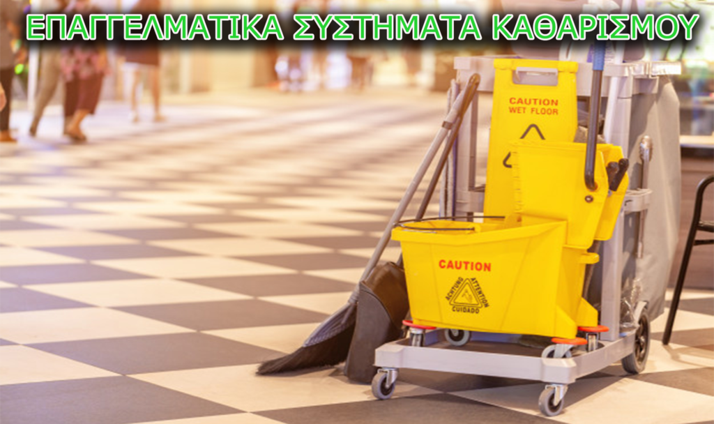 EPAGGELMATIKA SYSTHMATA KATHARISMOY
